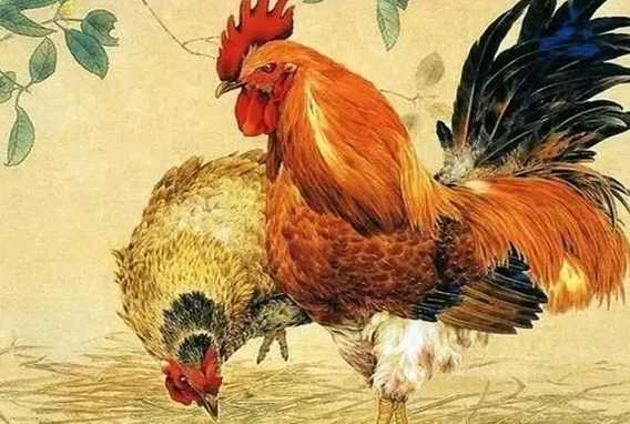 属鸡1957年出生在2025年综合运势解析_http://www.sanjiangtu.com_星座运势_第1张