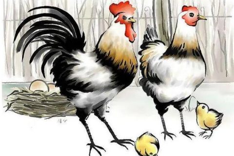 哪个星座十二星座中最好